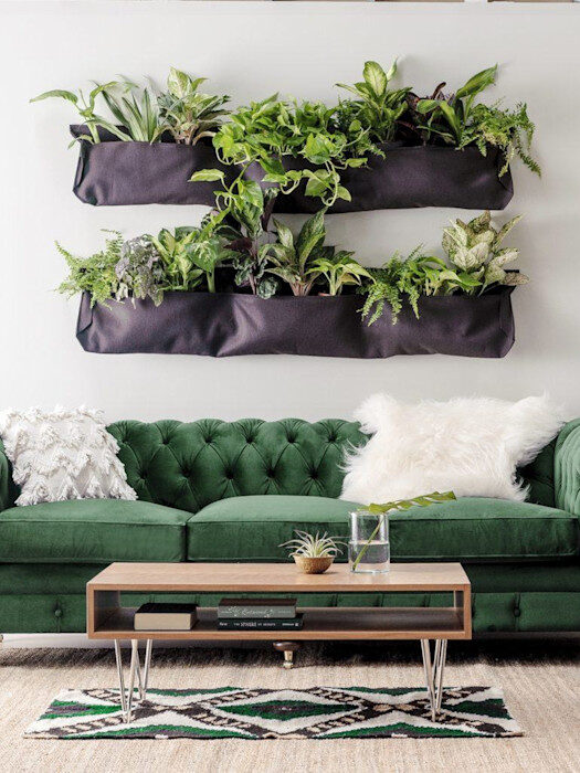 A living room with a green velvet sofa, decorative pillows, a wooden coffee table, and two wall-mounted vertical planters filled with various green plants.