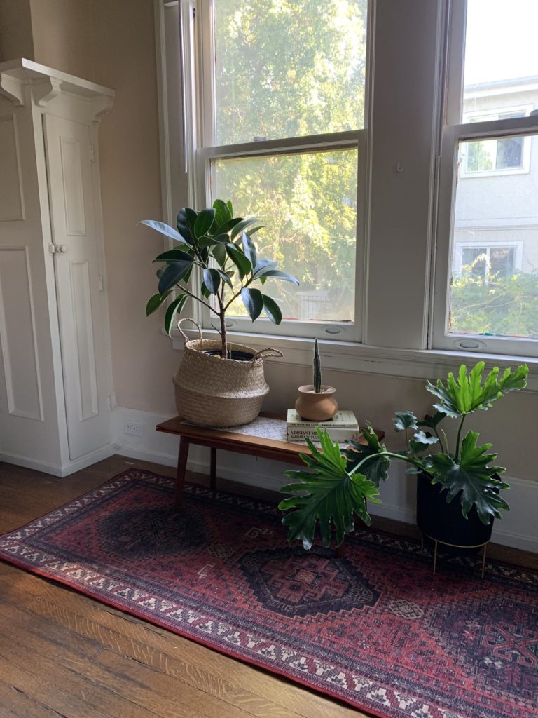 A sunlit room corner with a wooden bench holding two potted plants and books. A red patterned rug covers the wooden floor, and large windows reveal a view of greenery outside.