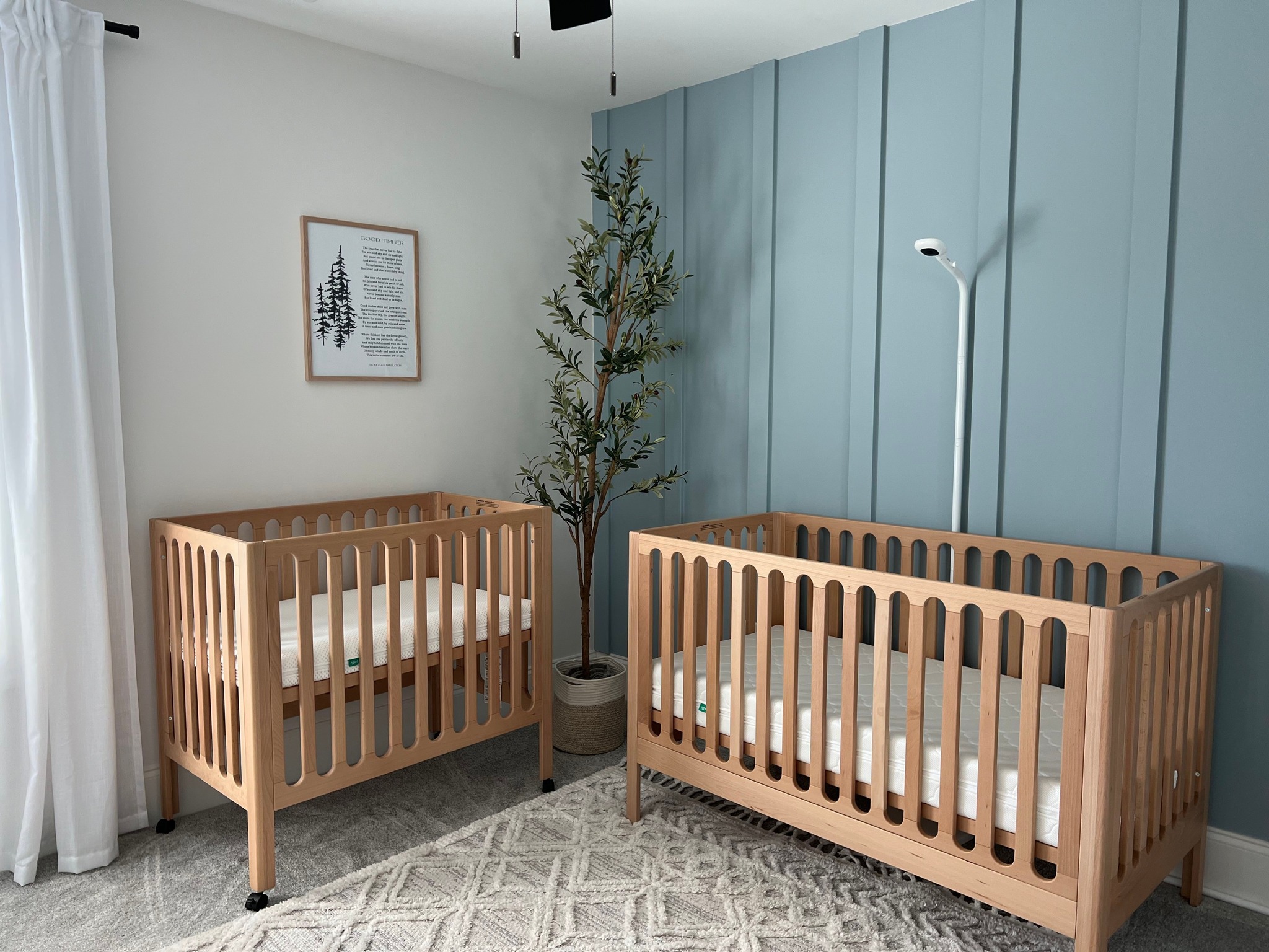 A nursery with two wooden cribs, a potted plant, a floor lamp, a textured rug, framed wall art, and light blue paneled accent wall.
