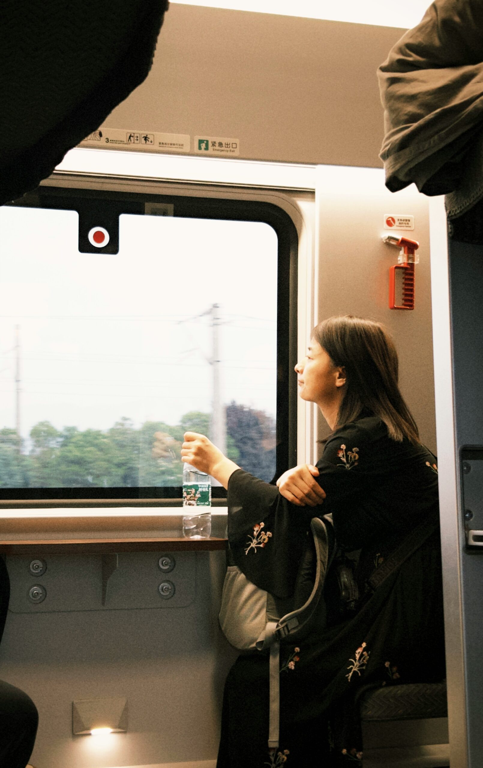 A woman in a black dress sits by a train window, holding a water bottle and looking outside at the passing landscape.
