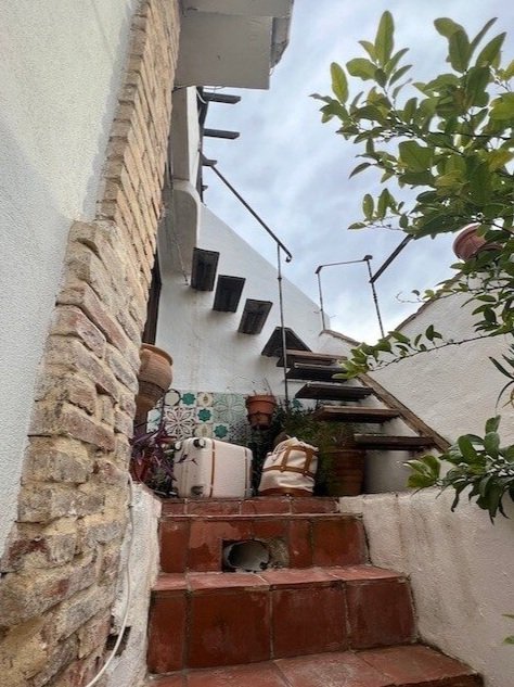 Outdoor staircase with red tiles and exposed bricks leads to an upper level; potted plants and miscellaneous items are placed on and around the steps.