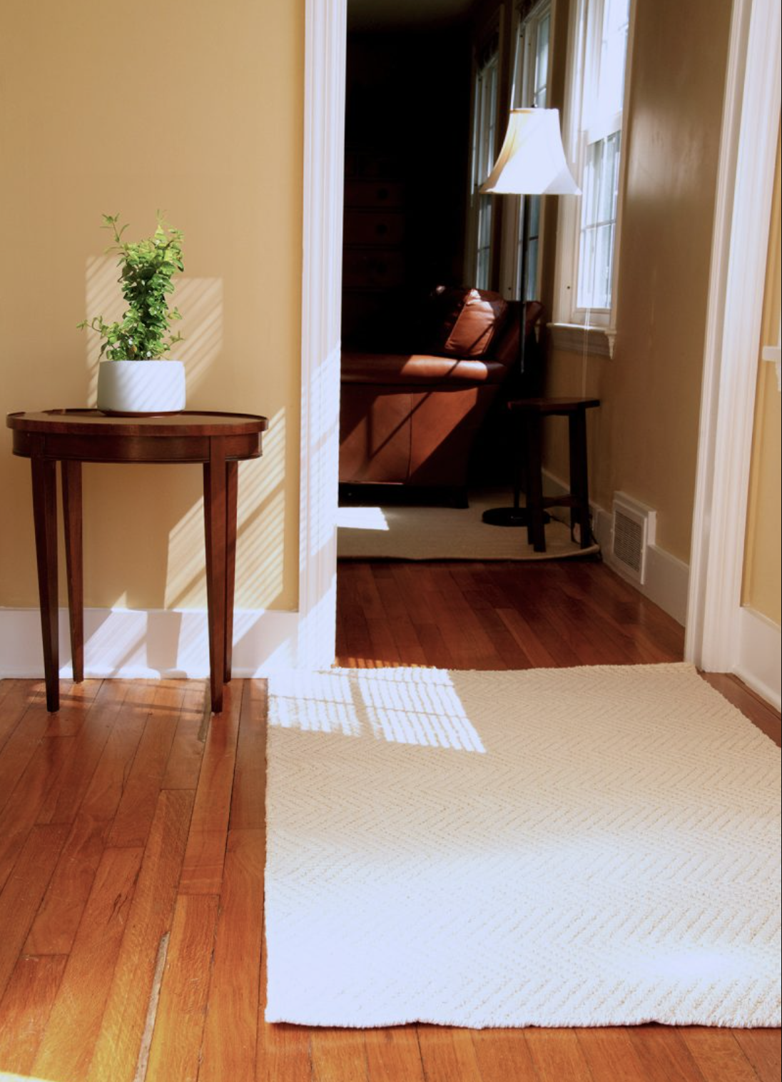 A hallway with hardwood floors, a small table with a potted plant, a white rug, and sunlight streaming through windows.