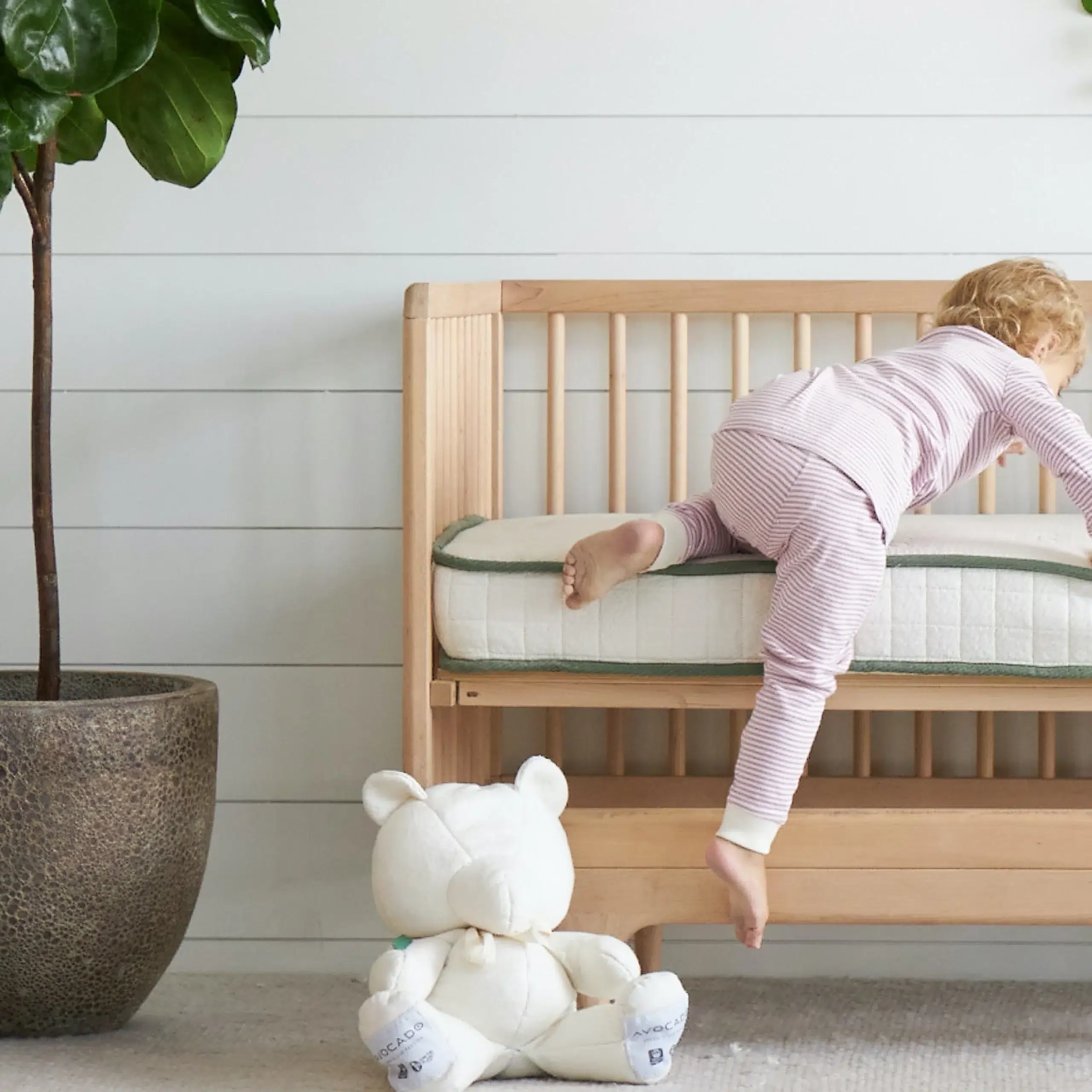 A young child in striped pajamas climbs onto a wooden crib next to a large potted plant, with a white teddy bear on the floor in the foreground.
