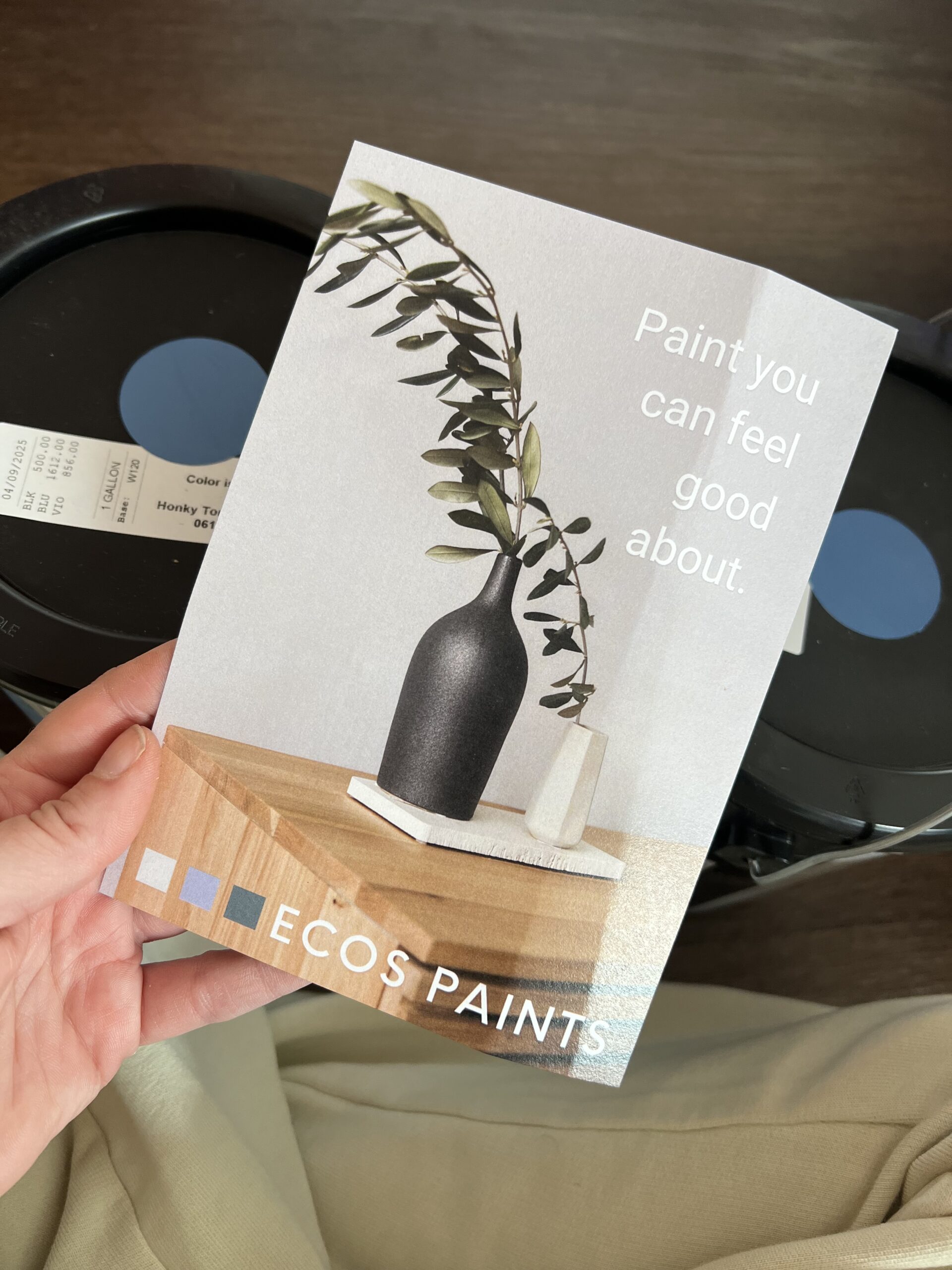 A hand holds an ECOS Paints brochure showing a black vase with green leaves on a wooden table, beside the text: "Paint you can feel good about.