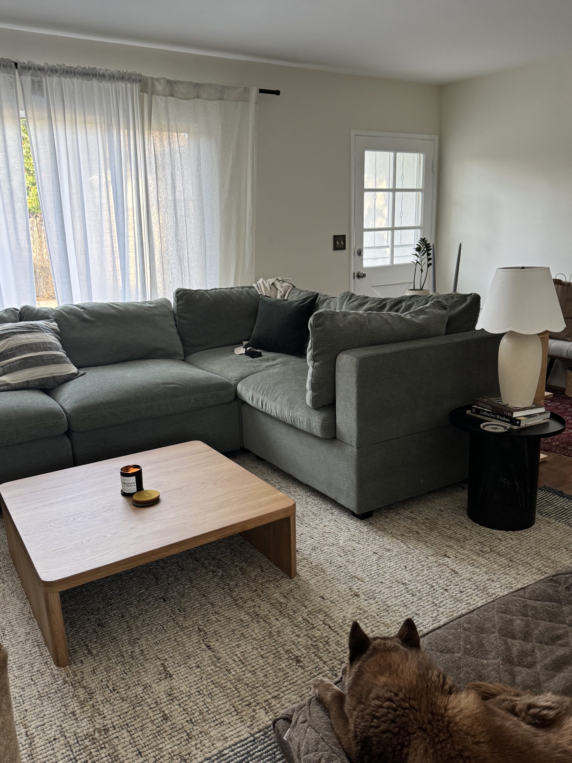 A living room with a green sectional sofa, coffee table with a candle, side table with a lamp and books, and a dog lying on a blanket in the foreground.