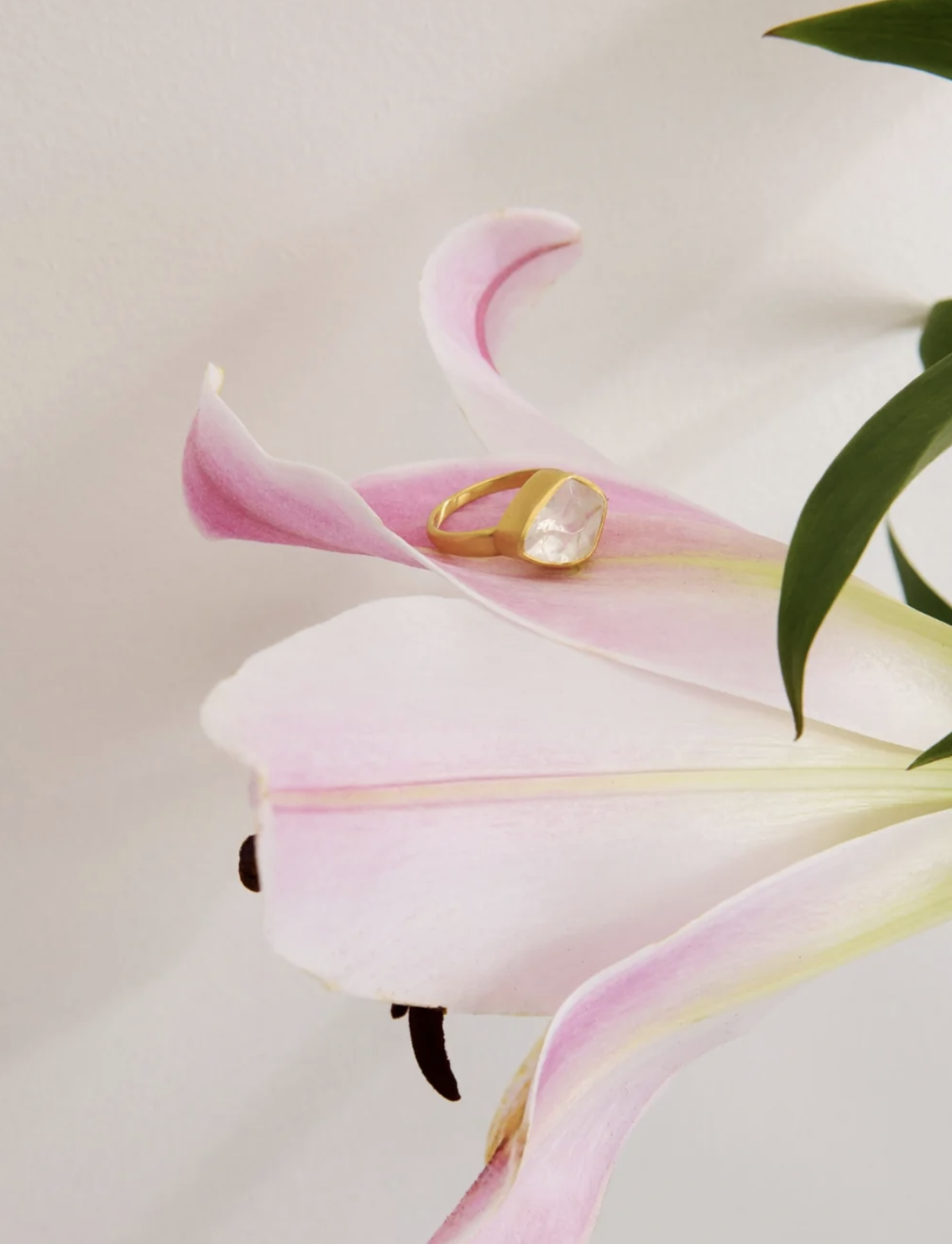 A gold ring with a large, irregular pearl is placed on the petal of a pink and white lily flower.