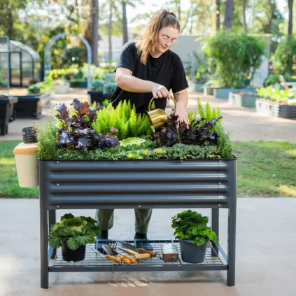 A woman waters plants in a raised metal garden bed, surrounded by gardening tools and potted herbs, in an outdoor garden setting.