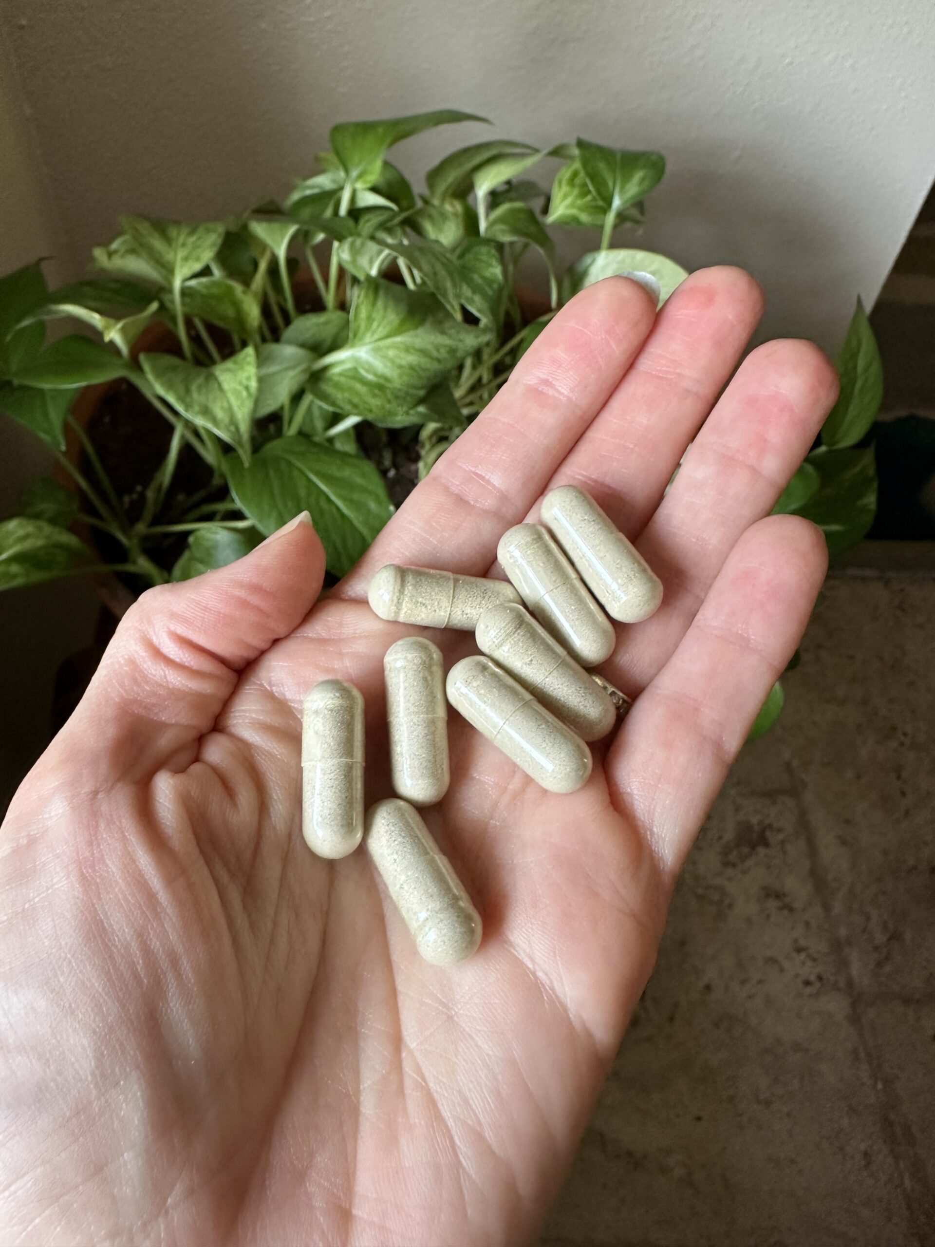 A hand holding seven beige capsules with a green leafy plant in the background.