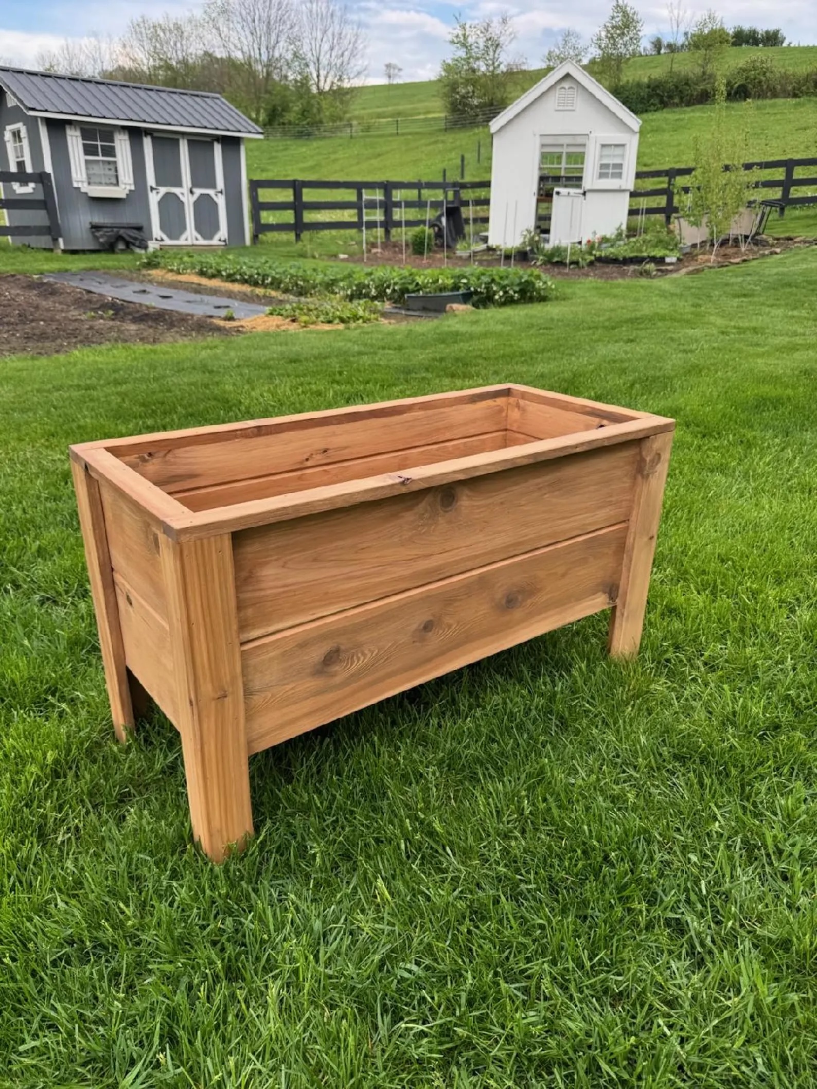 A wooden rectangular planter box stands on a grassy lawn with garden sheds and planting beds visible in the background.