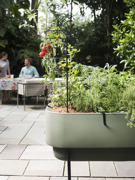A raised garden bed with herbs and tomato plants in the foreground, with two people sitting at a table in a patio garden setting in the background.