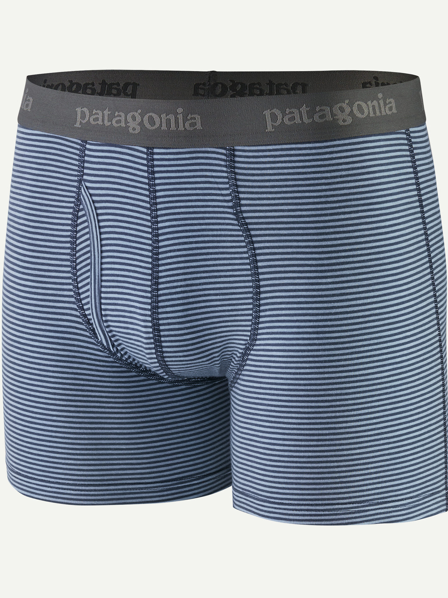 A pair of blue and gray striped boxer briefs with a black waistband featuring the Patagonia logo in gray text.