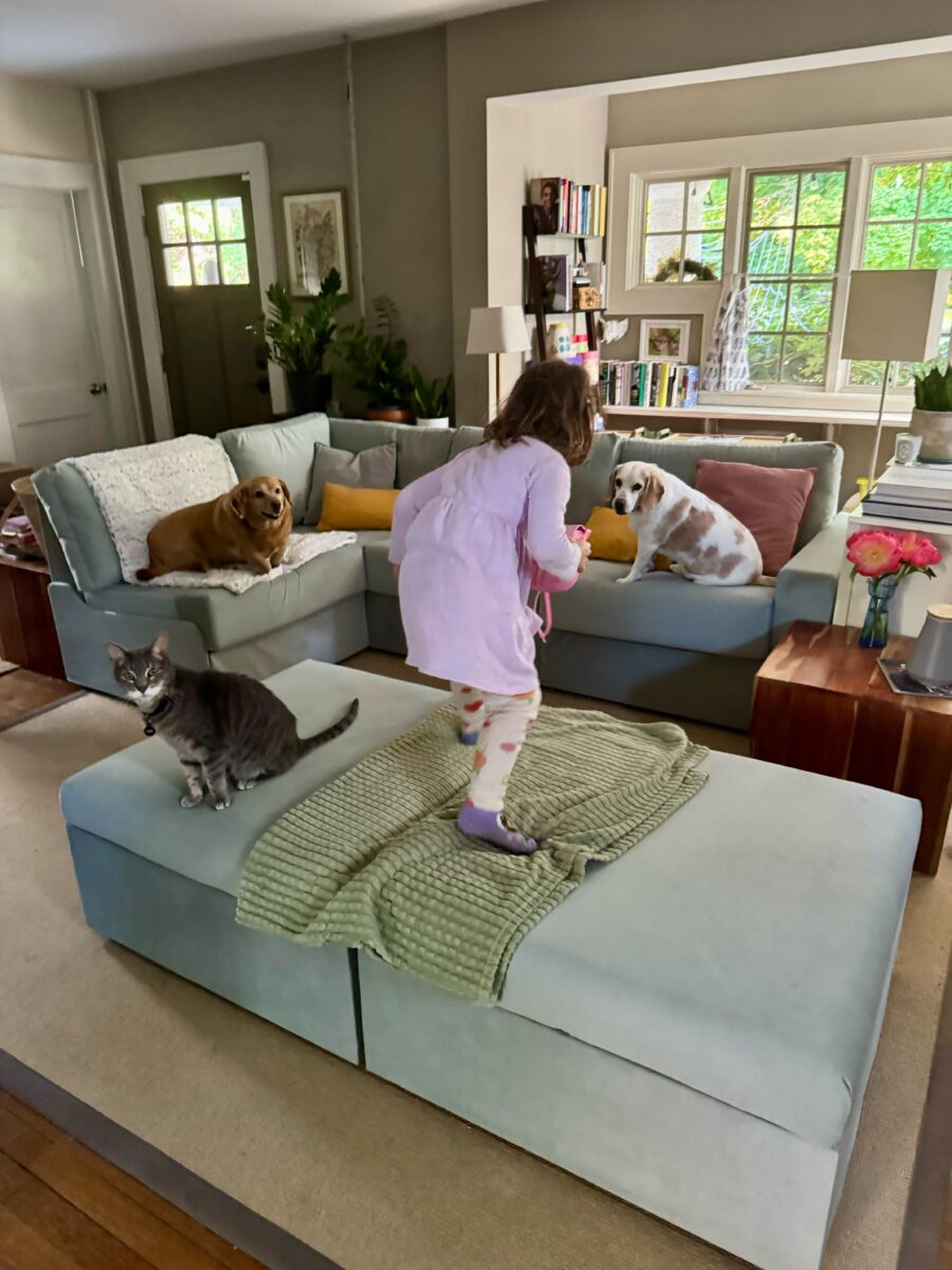 A child stands on an ottoman while two dogs sit on separate couches and a cat sits on the ottoman in a living room.
