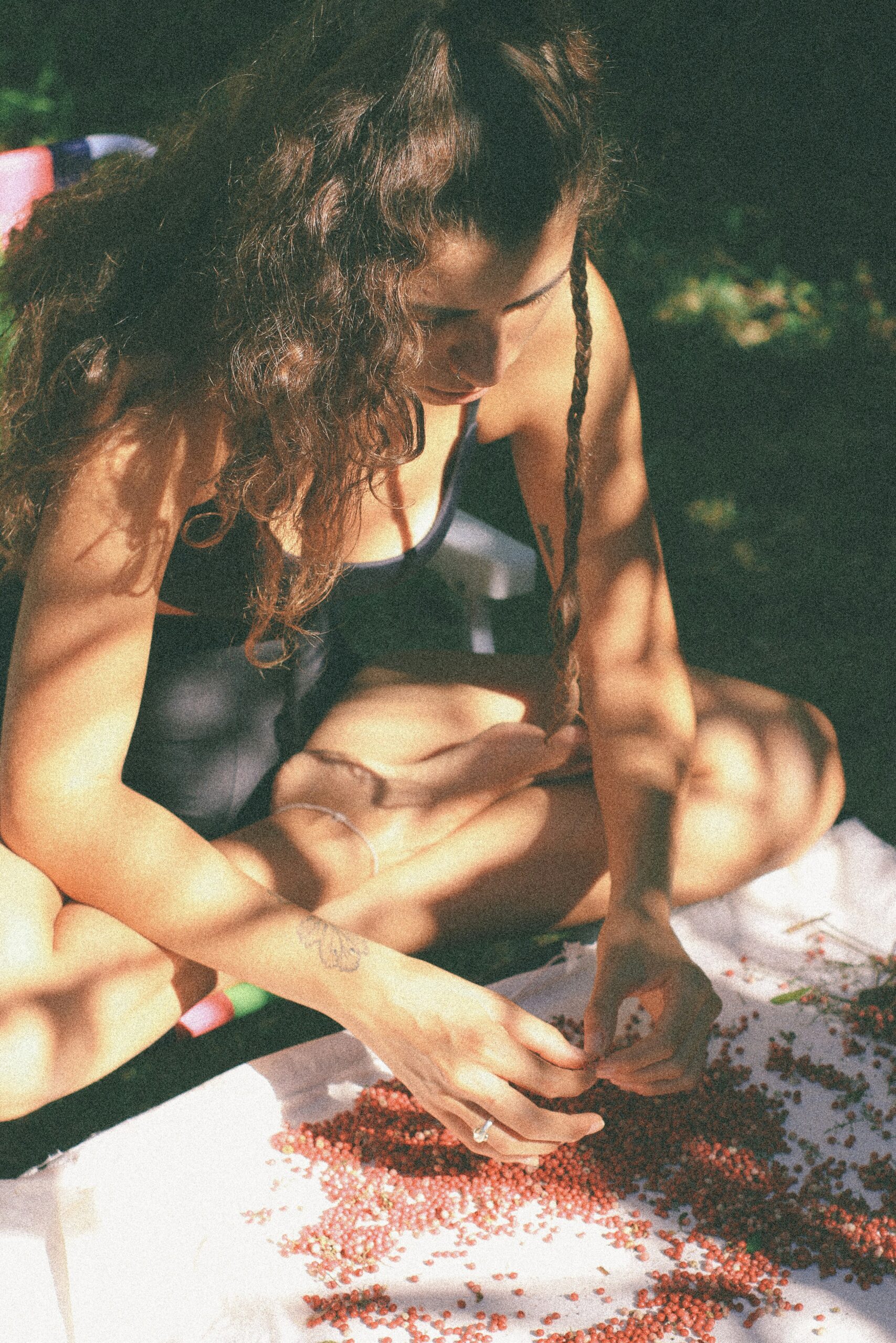 A person with long hair sits outdoors, sorting or handling a large pile of small red berries on a white cloth in dappled sunlight.