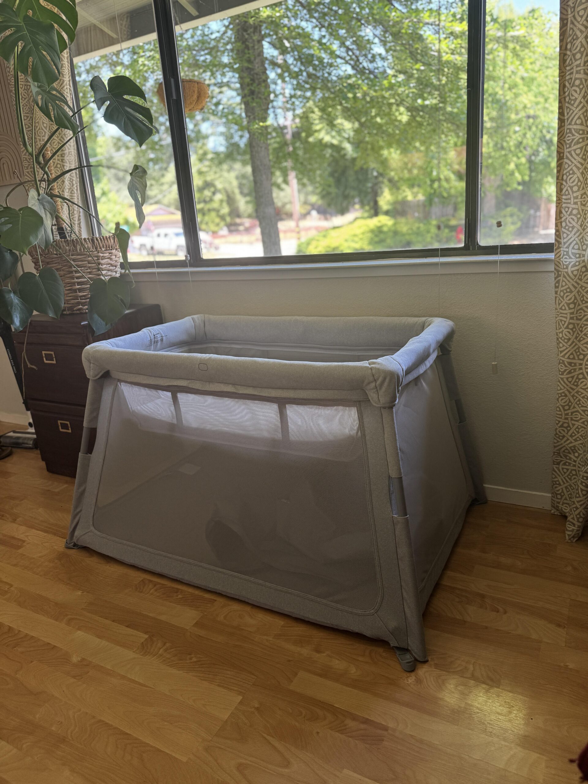 A gray mesh playpen sits on a wooden floor near a window with trees visible outside. A large indoor plant and a set of drawers are nearby.