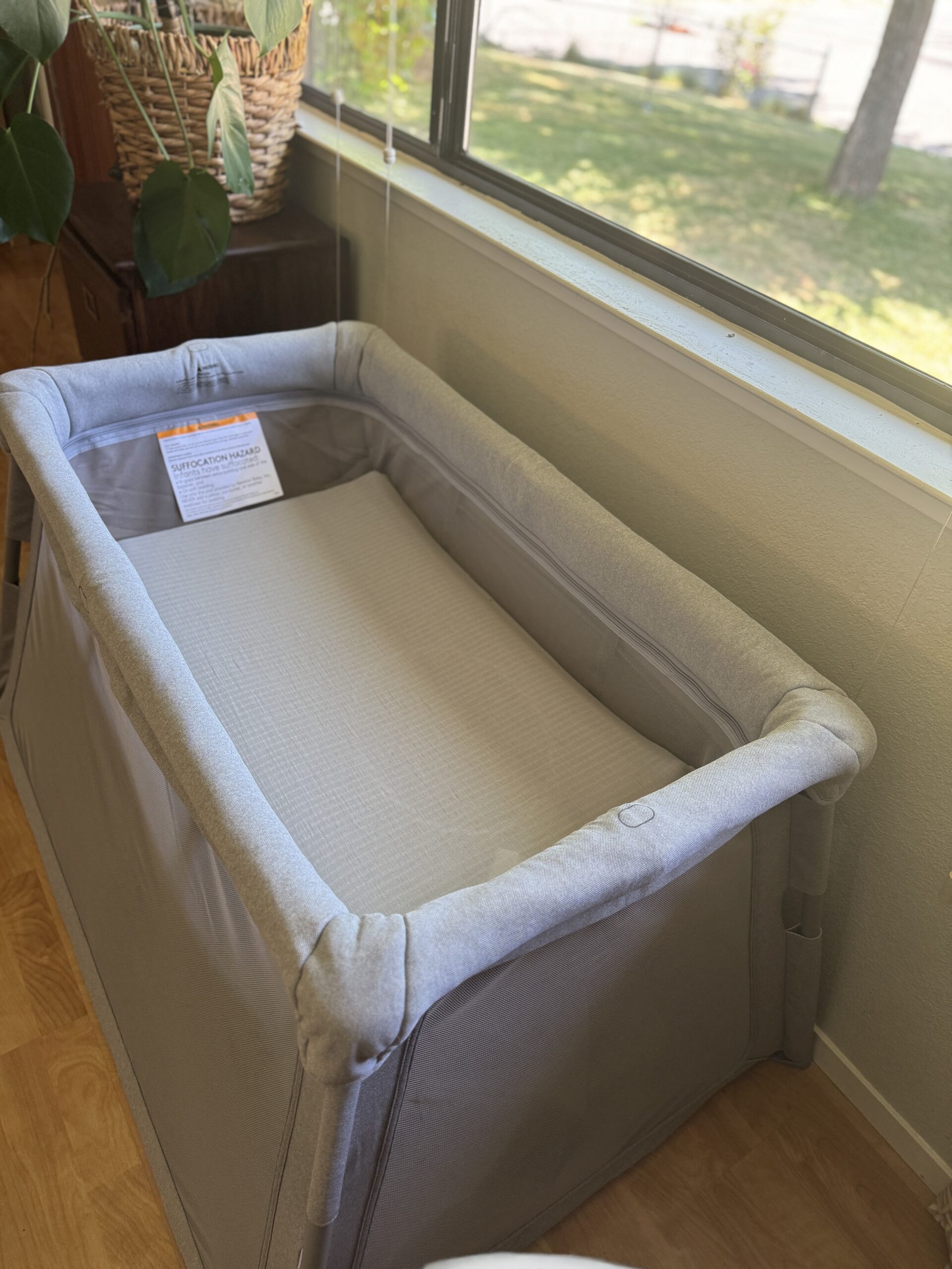 A gray portable baby bassinet is placed against a wall beside a window, with sunlight streaming in and a plant nearby.