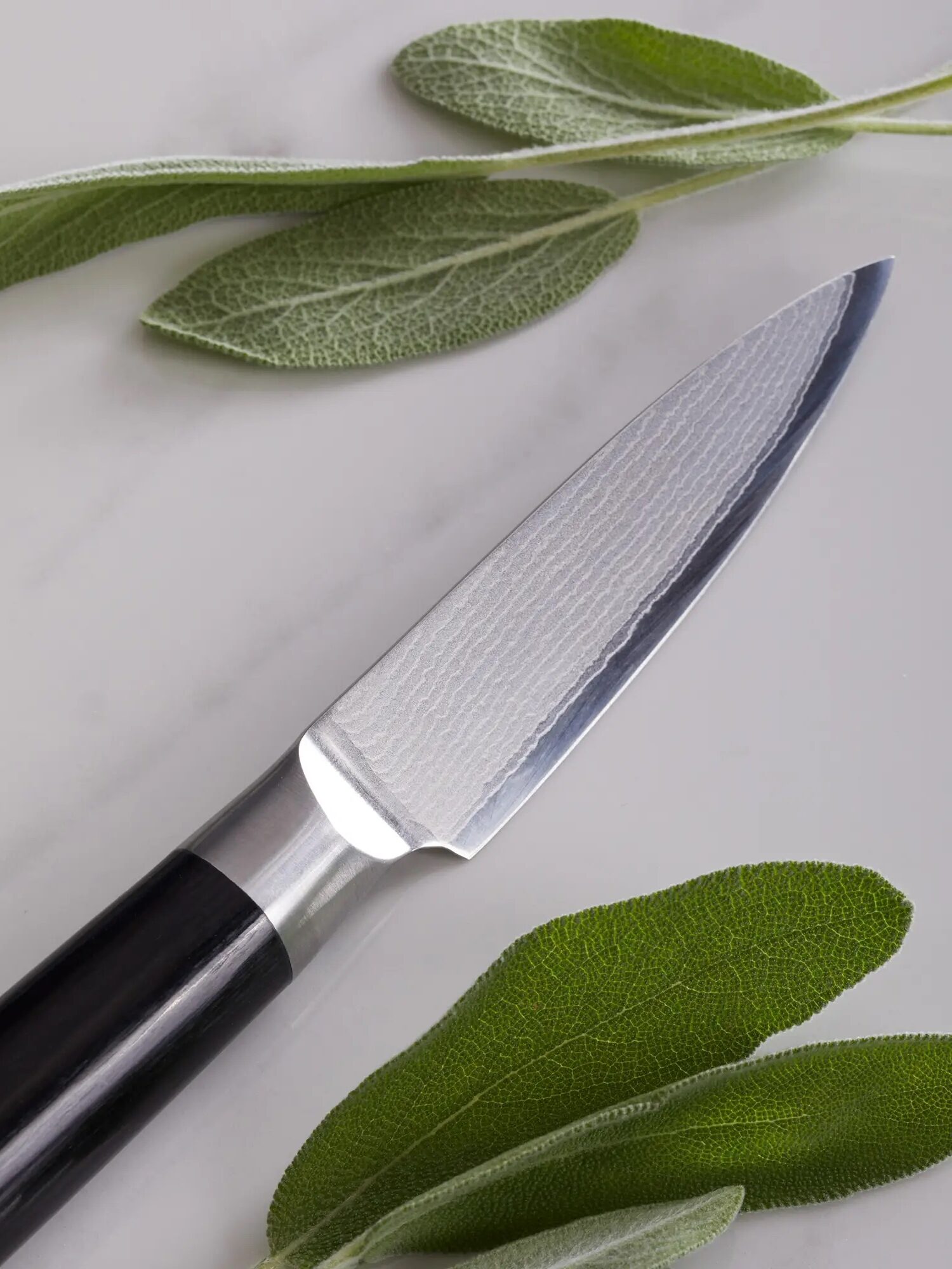 A sharp kitchen knife with a dark handle is placed on a white surface, surrounded by fresh sage leaves.