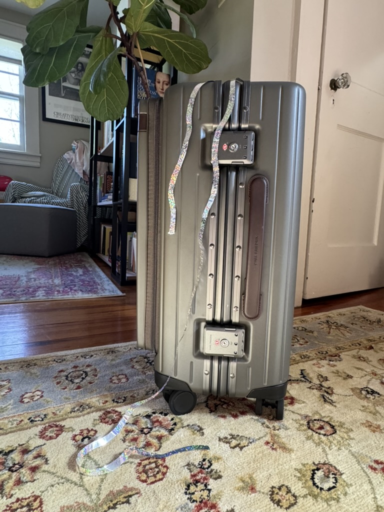 A silver hard-shell suitcase with two locks and ribbon attached stands upright on a patterned rug in a living room near a plant and a door.