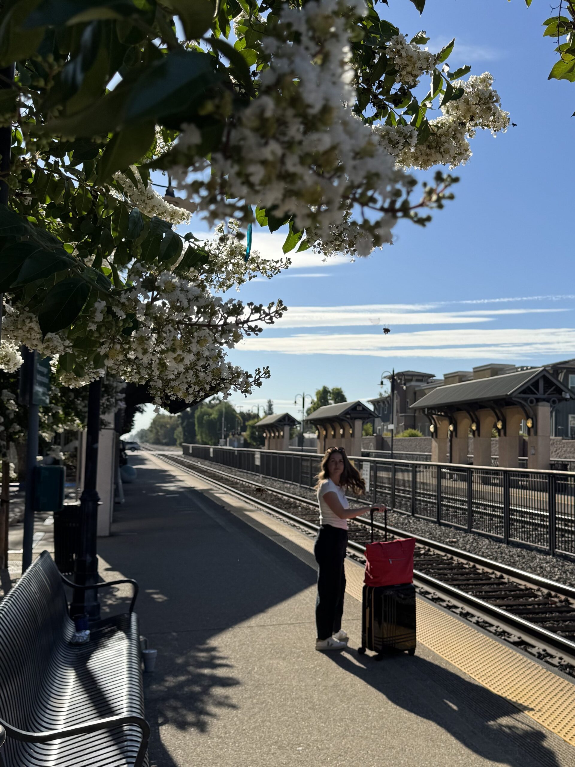 A person with a red cart stands on a sunlit train station platform under flowering trees, with tracks and buildings visible in the background.