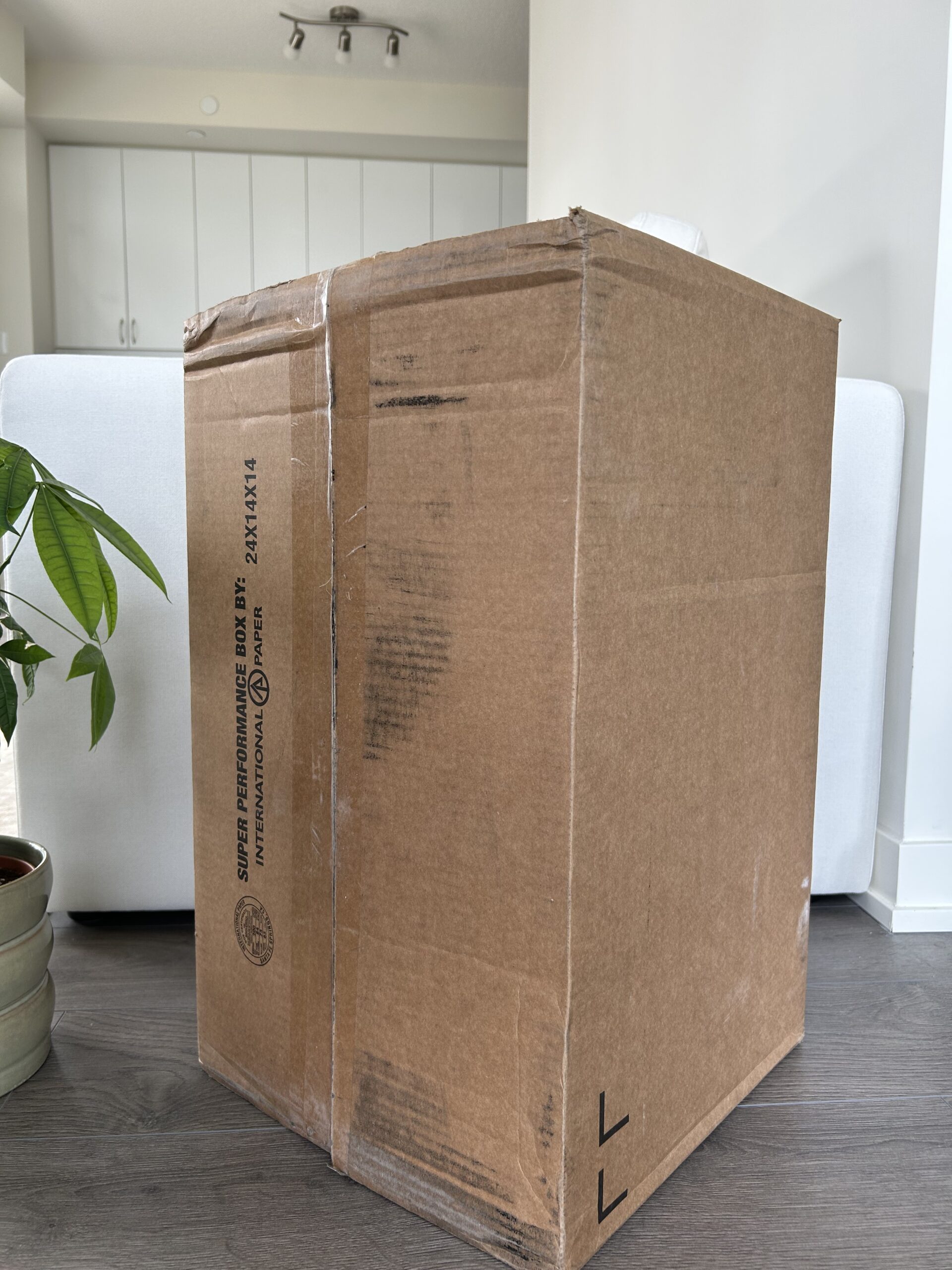 A large, upright cardboard box with printed text sits on a wood floor next to a potted plant in a bright room.