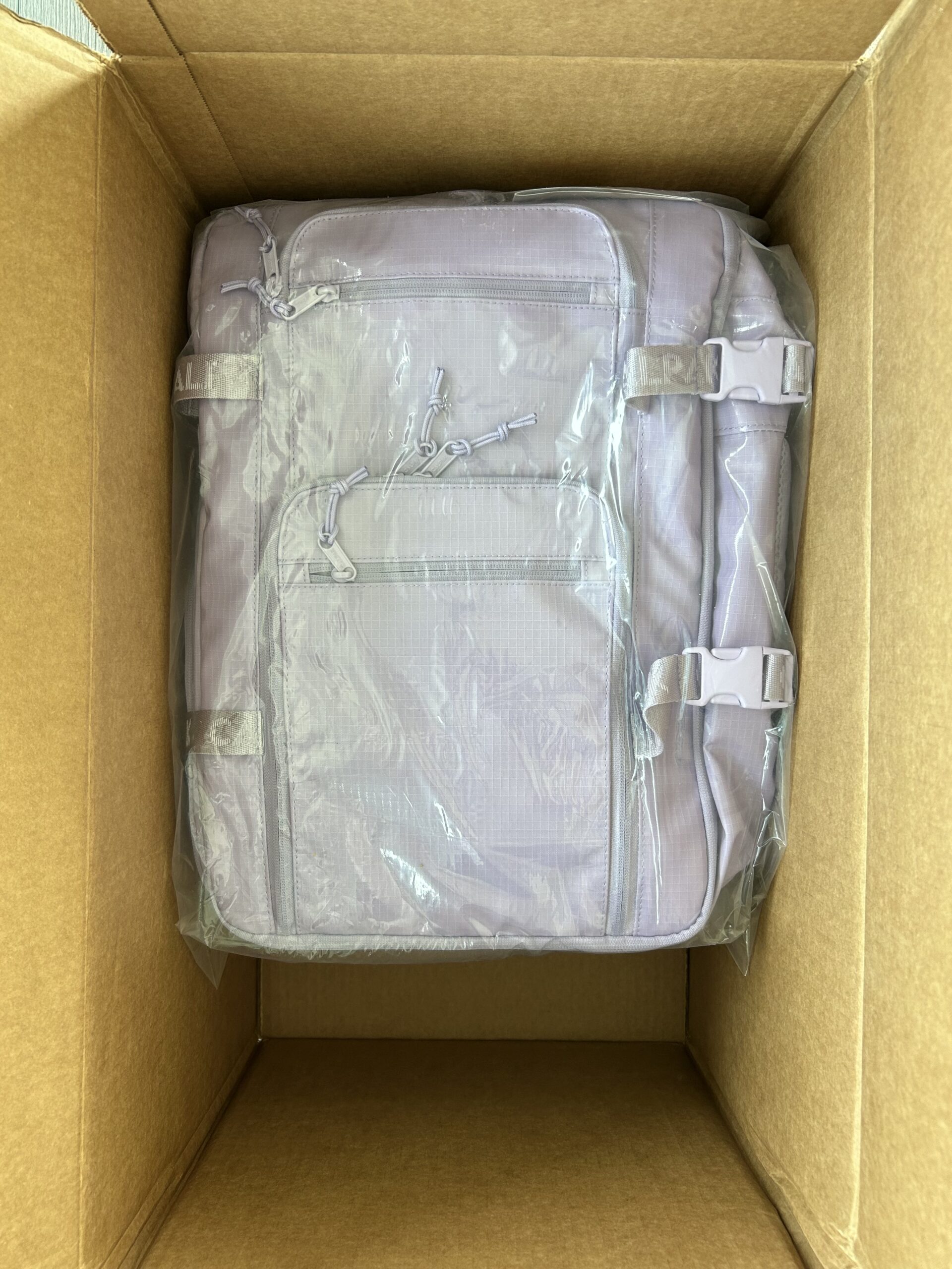 A lavender backpack in clear plastic packaging placed inside a large cardboard shipping box.