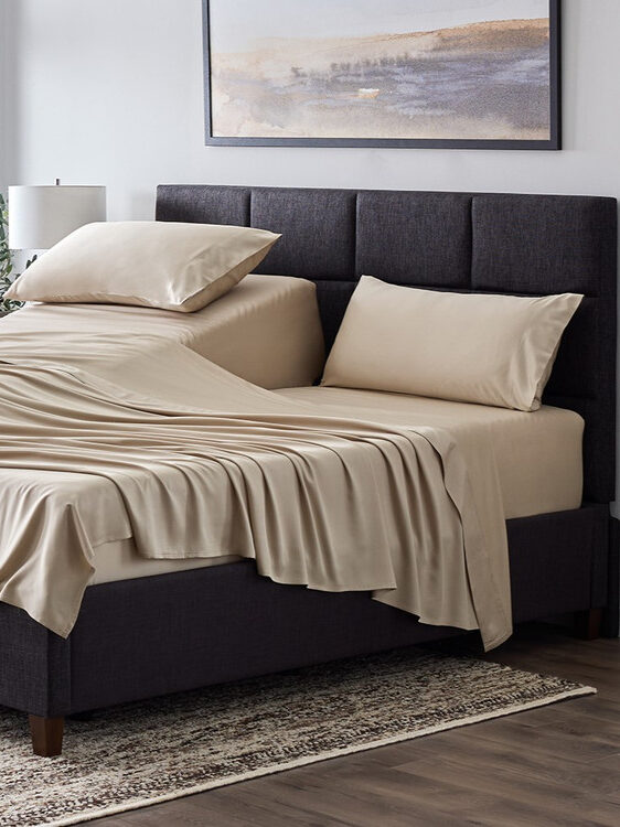 A modern bedroom with a dark upholstered adjustable bed, tan satin sheets, and two pillows, one elevated. A rug, lamp, plant, and framed artwork are also visible.