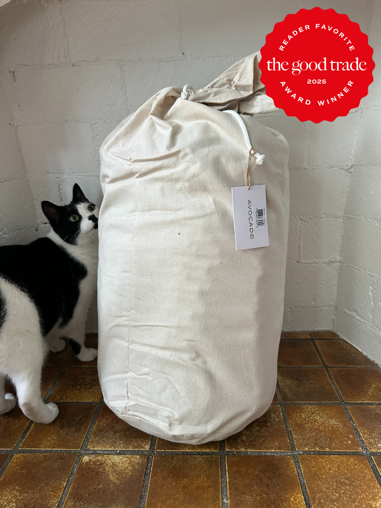 A large beige bag with an Avocado tag sits on tiled flooring next to a black and white cat. A red "The Good Trade 2024 Award Winner" badge is in the top right corner.