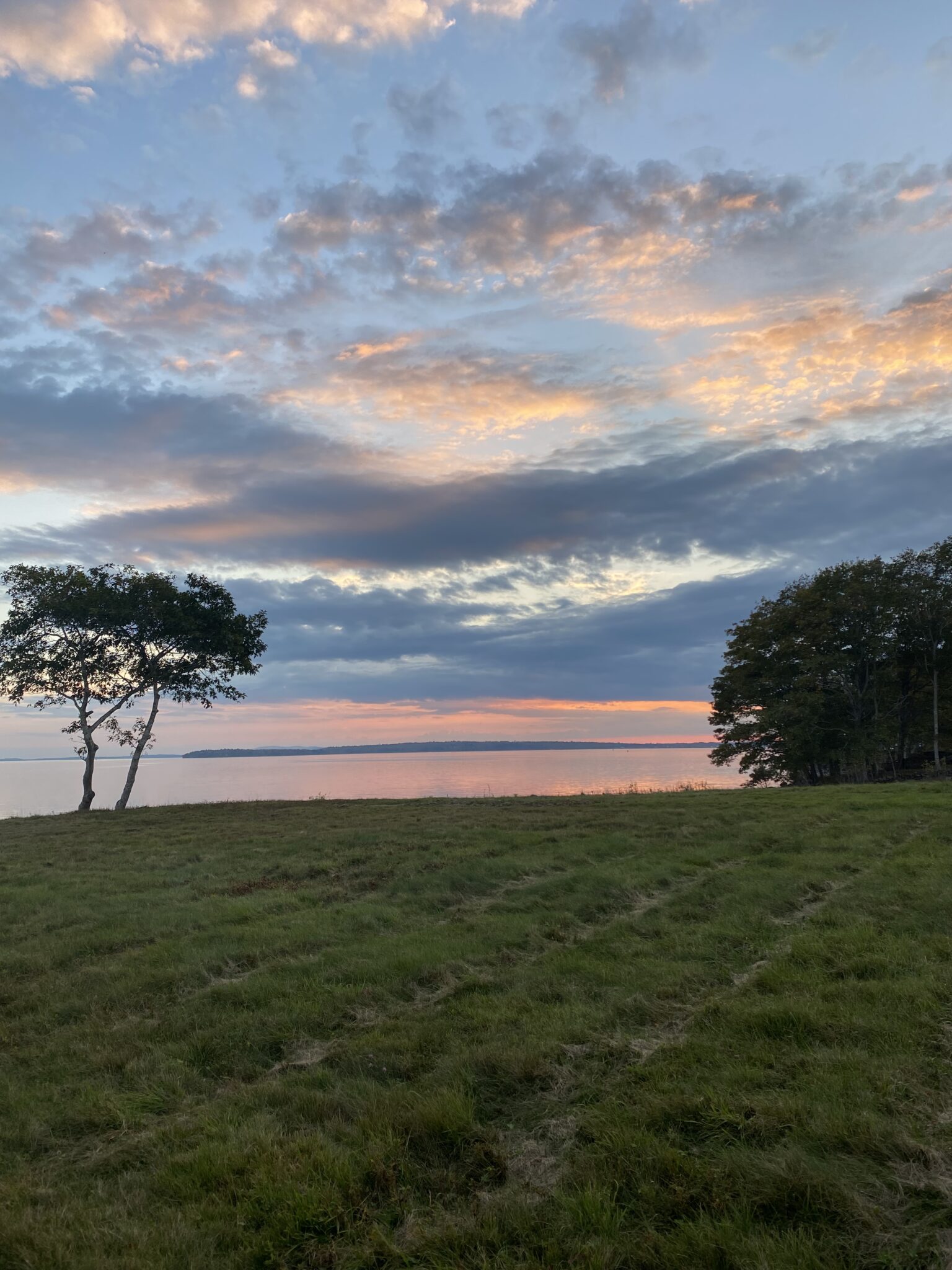 Grassy field with trees on the left and right, overlooking a calm body of water at sunset, with colorful clouds in the sky.