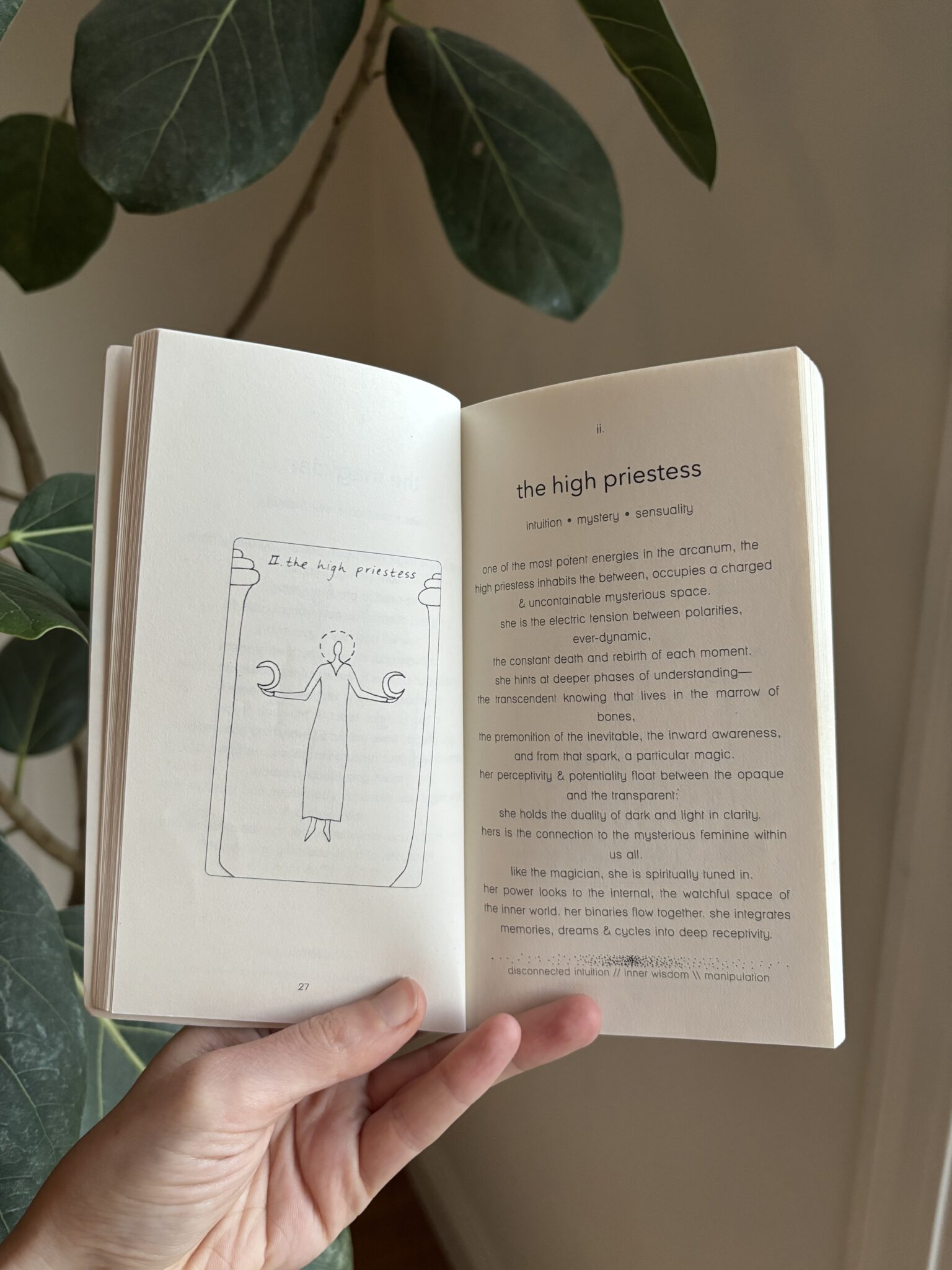 A hand holds open a book to a page displaying a tarot card illustration labeled "The High Priestess" on the left and descriptive text about the card on the right. A leafy plant is in the background.