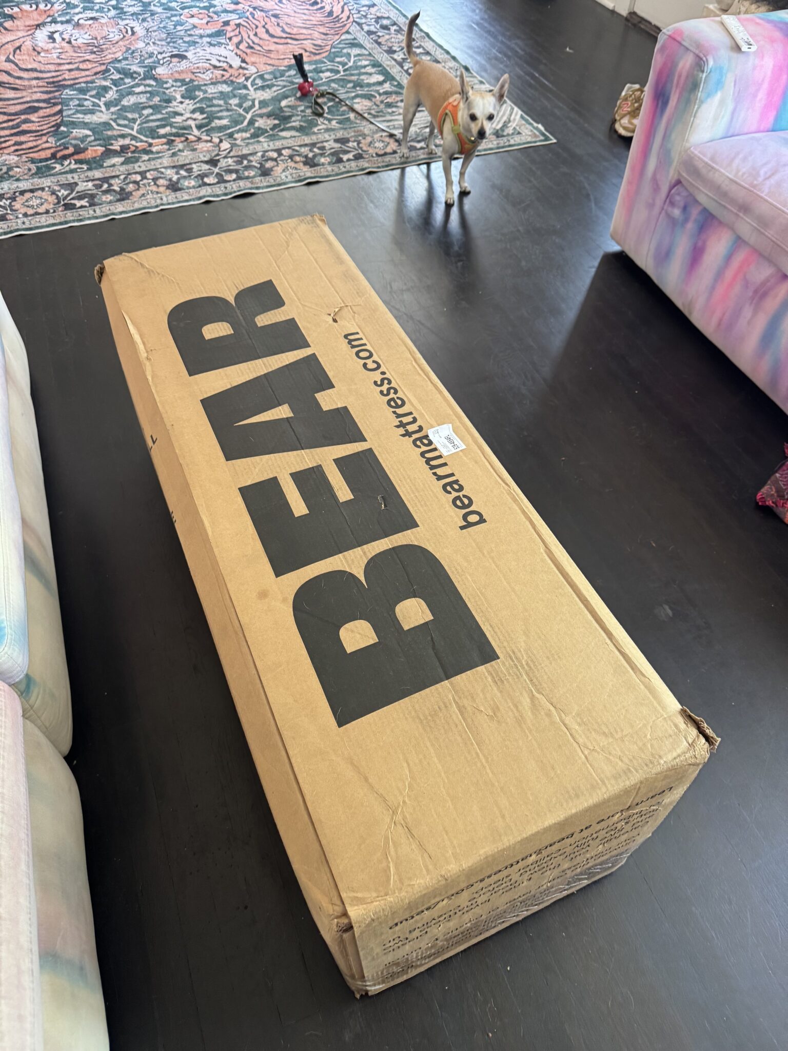 A large cardboard box labeled "BEAR" from bearmattress.com sits on a dark floor near a small dog, colorful furniture, and a patterned rug.