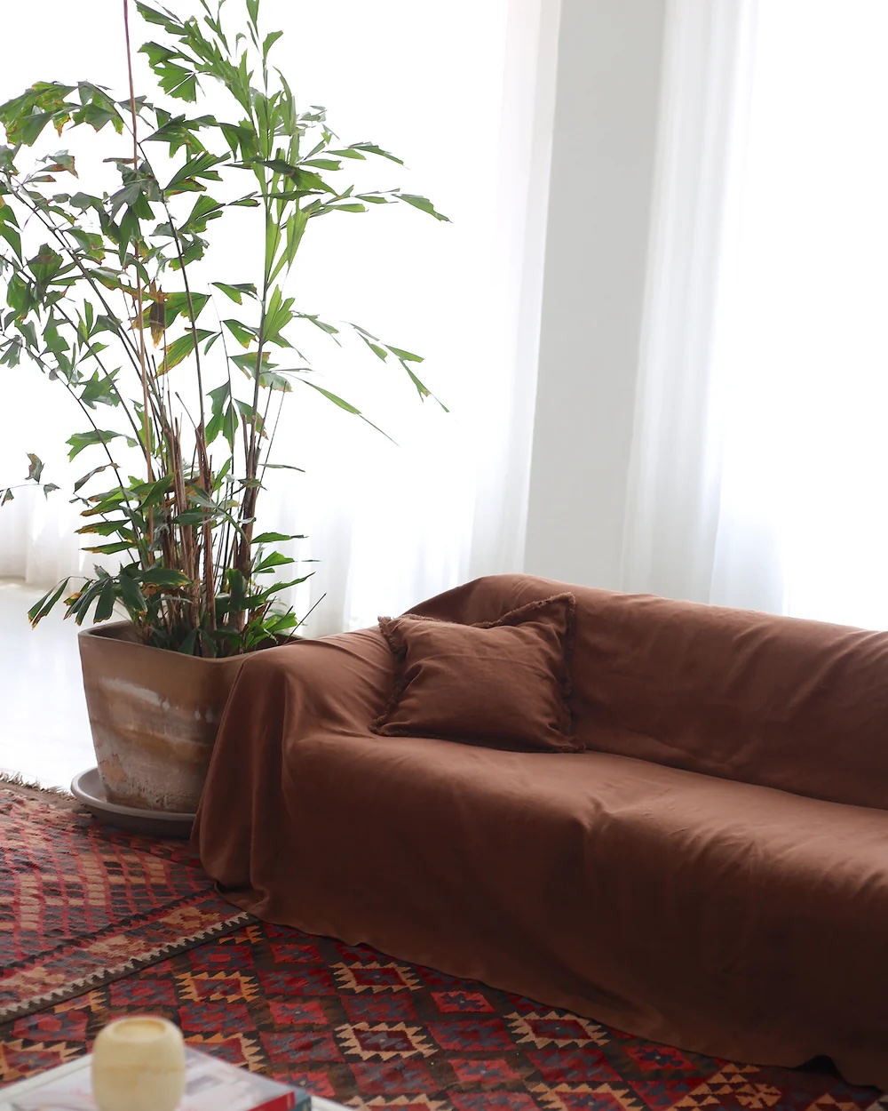 A brown sofa with a matching pillow sits next to a large potted plant on a patterned red rug in a sunlit room with sheer white curtains.