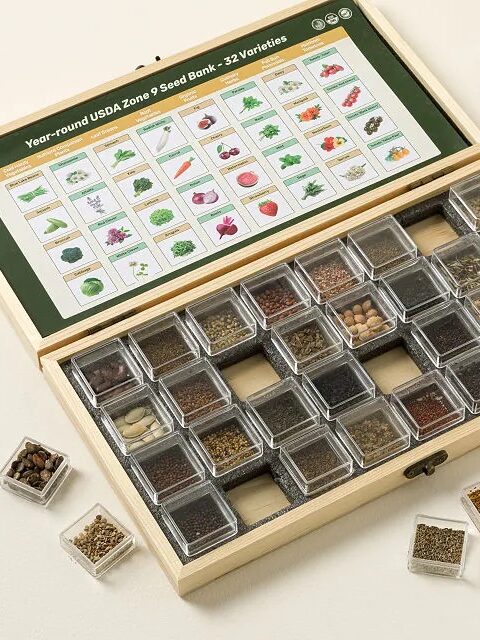 A wooden box containing 32 small compartments, each holding different seeds, with a chart showing corresponding vegetables and plants above the compartments.