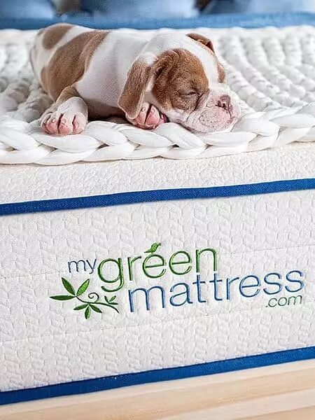 A small brown and white puppy sleeps on a chunky knit blanket atop a mattress labeled "my green mattress.com" in a bedroom setting.
