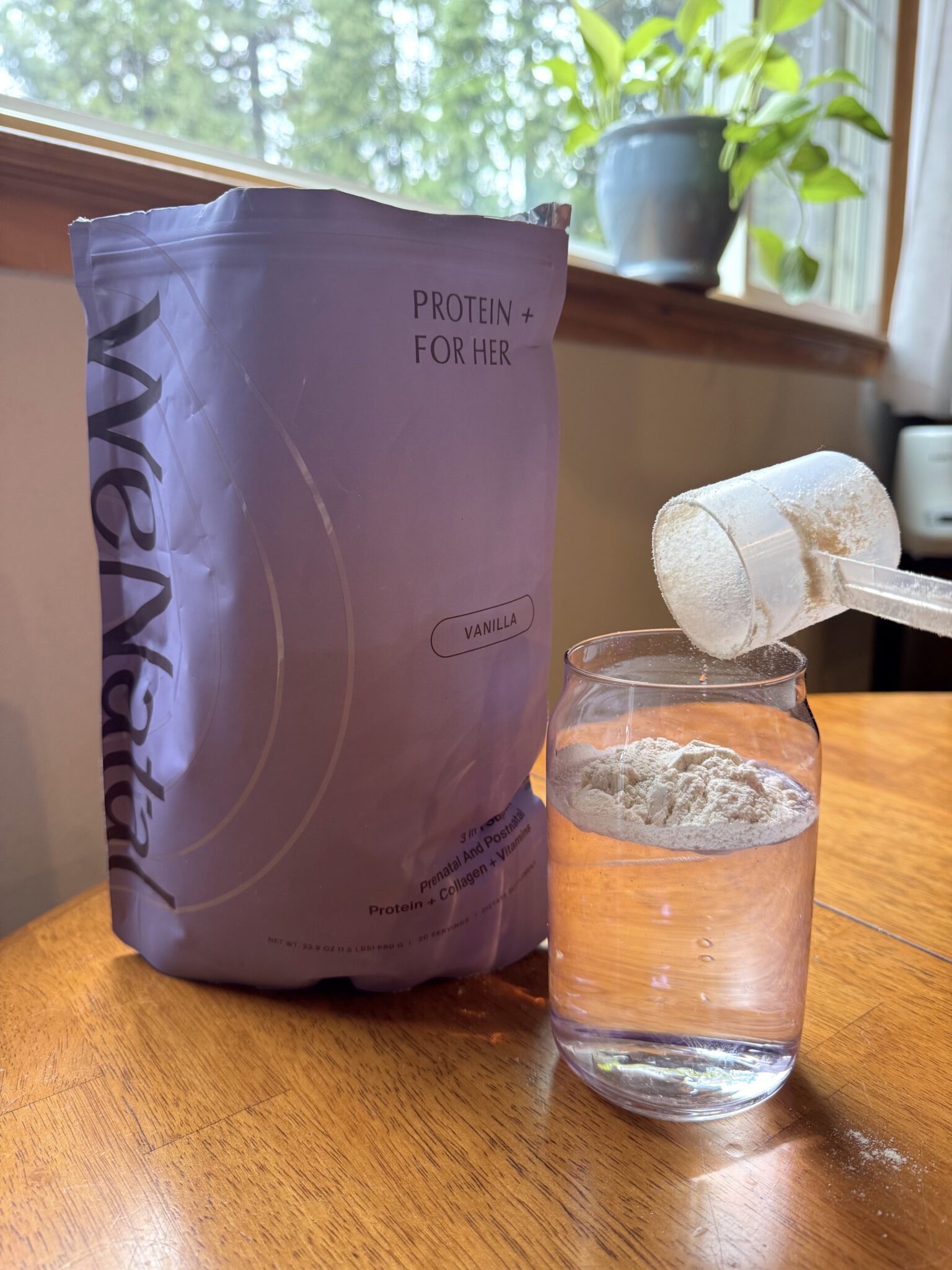 A bag of WeNatal Protein + For Her powder stands next to a glass of water with a scoop of protein powder resting on top. A potted plant sits on a windowsill in the background.