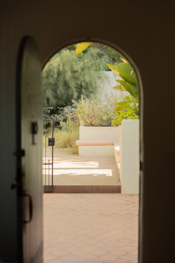 8M1A2651-Enhanced-NR