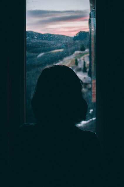 A silhouette of a person with short hair looks out a window at a dusky landscape with hills and a cloudy sky.