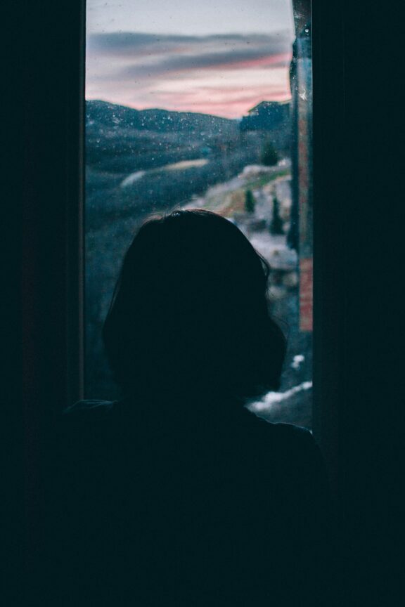 A silhouette of a person with short hair looks out a window at a dusky landscape with hills and a cloudy sky.