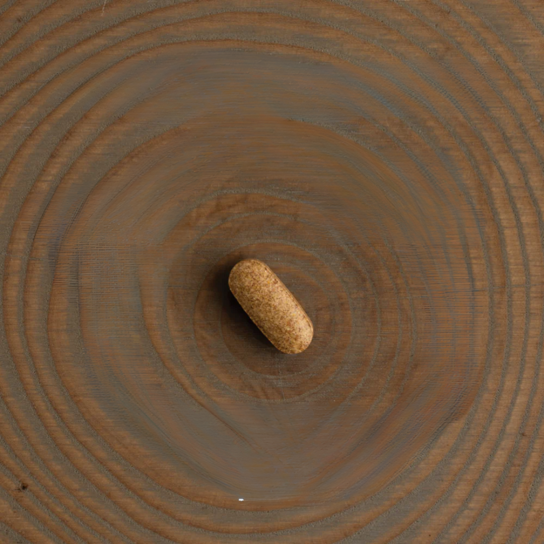 A single brown pill rests at the center of a round wooden surface with visible grain rings.