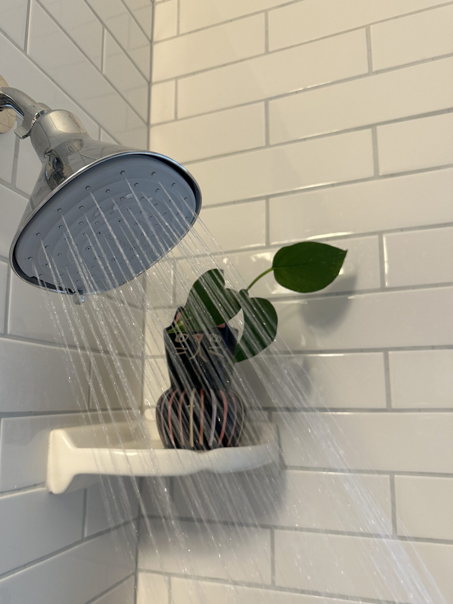 A shower spraying water onto a potted plant placed on a small shelf against a white tiled wall.