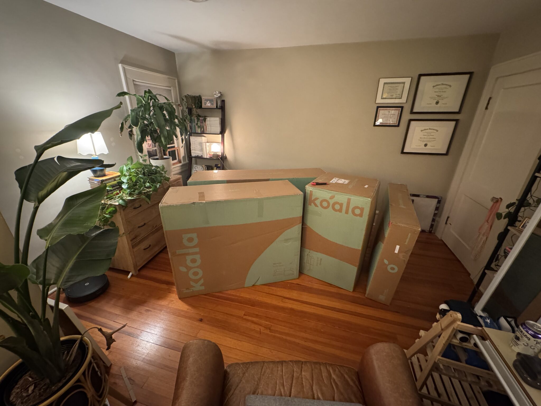 Three large Koala-branded cardboard boxes are placed on the floor of a home office with wooden floors, plants, and framed certificates on the wall.